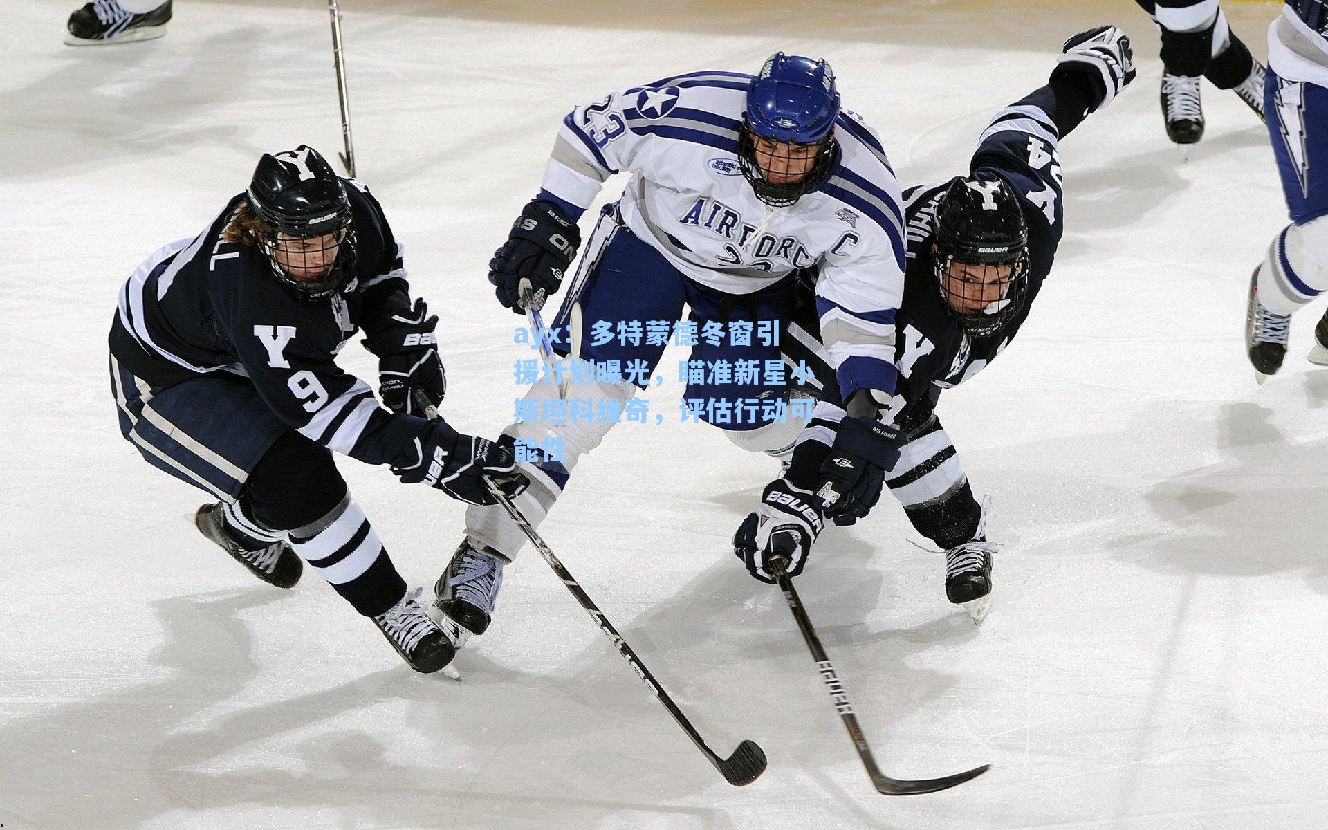 多特蒙德冬窗引援计划曝光，瞄准新星小斯坦科维奇，评估行动可能性