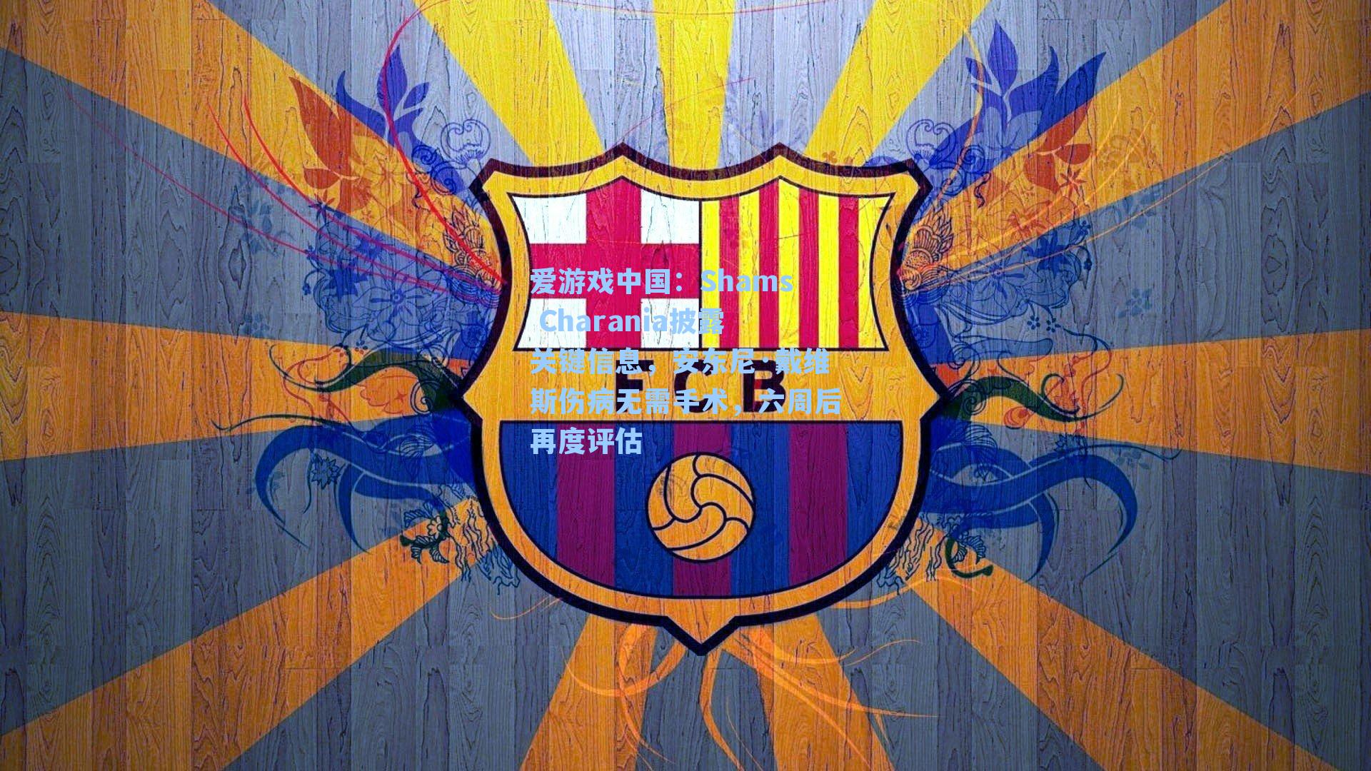 Shams Charania披露关键信息,安东尼·戴维斯伤病无需手术,六周后再度评估